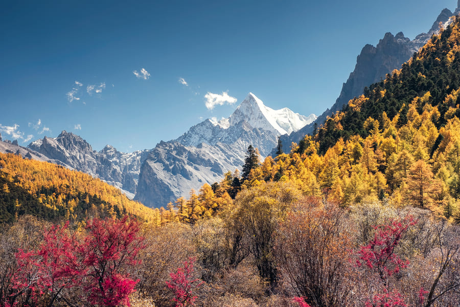 paisaje de otono con montanas nevadas al fondo.